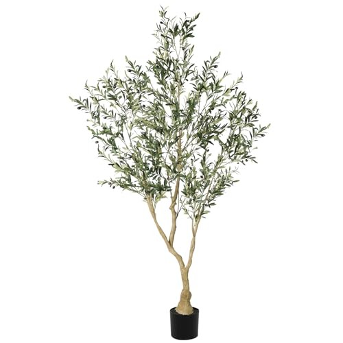 Olive trees artificial indoor - ,