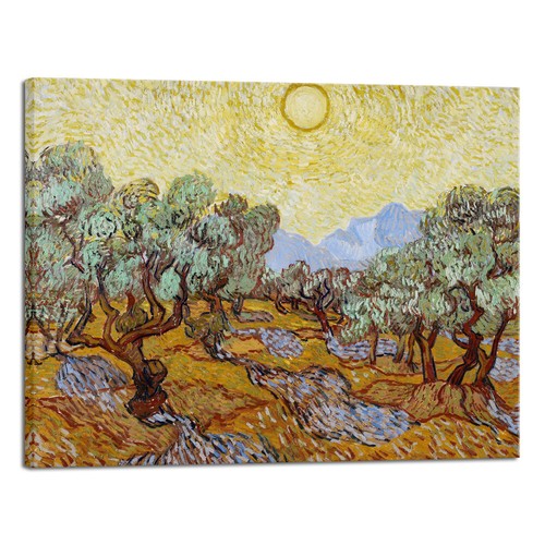 Large olive trees - trees, yellow